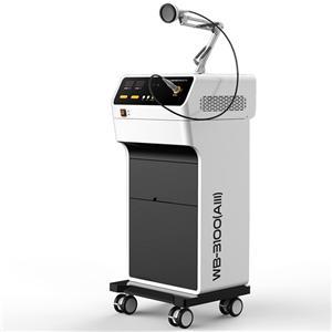 wb-3100AIII新款立式